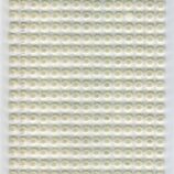 Заготовки для альбомів „Ажур“ 20х20,5см 4 ст. ROSA TALENT