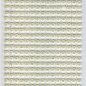 Заготовки для альбомів „Ажур“ 20х20,5см 4 ст. ROSA TALENT