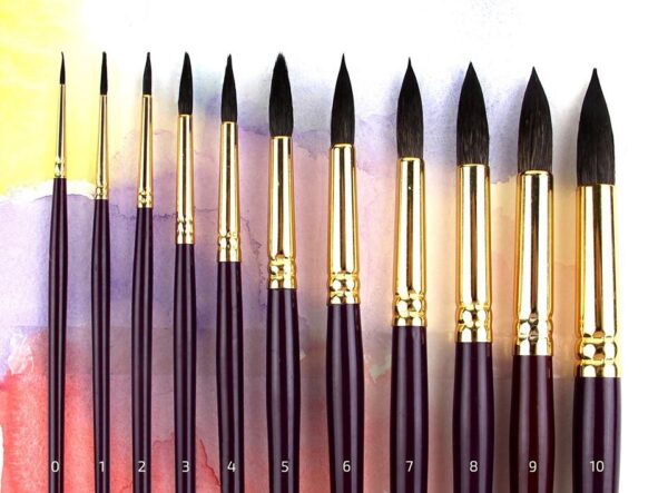 Білка кругла . ROSA Gallery