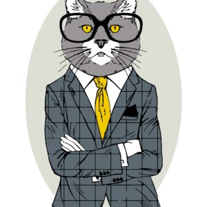 „Fashion Cat“, набор-стандарт, картина по номерам, 35х45см, ROSA START