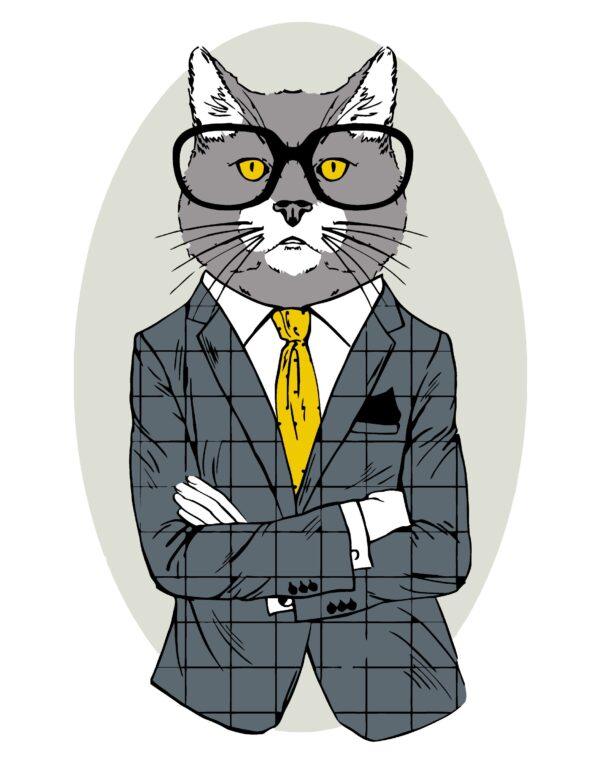 „Fashion Cat“, набор-стандарт, картина по номерам, 35х45см, ROSA START