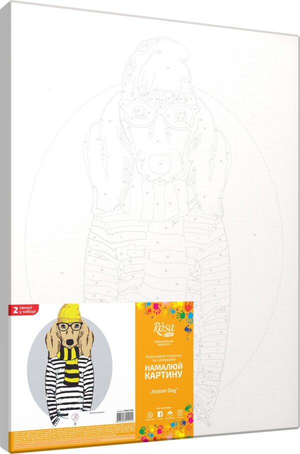 Standard Kit, painting by numbers, „ Fashion Cat“, 35х45cm, ROSA START