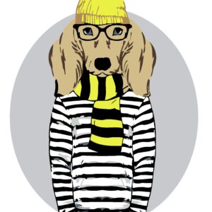 Набір-стандарт, картина за номерами, „ Fashion Cat“, 35х45см, ROSA START