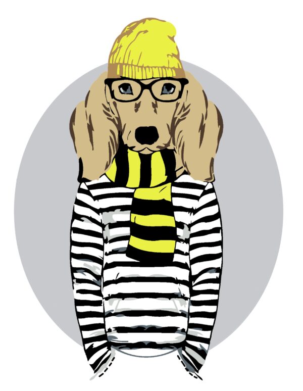 Набір-стандарт, картина за номерами, „ Fashion Cat“, 35х45см, ROSA START