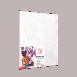 „Pop Art Meow“,  полотно на картоні з контуром, 30х40, бавовна, акрил, ROSA START