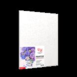 Still life №31, Canvas Panel with outline, 30х40, cotton, acrylic, ROSA START