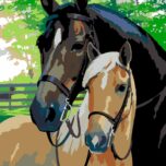 „Horses“, standard Kit, painting by numbers, 35х45cm, ROSA START