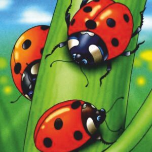 „Мультфільм № 4“, полотно на картоні з контуром, 20х30, бавовна, акрил, ROSA START