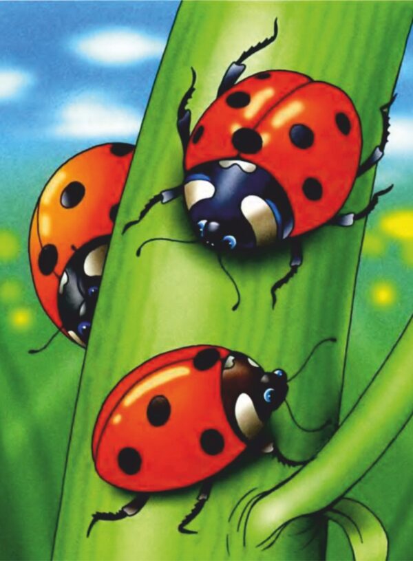 „Cartoons № 4“, сardboard with an outline, 20х30, cotton, acrylic , ROSA START