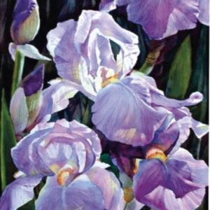 Still life №10, Canvas Panel with outline, 30х40, cotton, acrylic, ROSA START