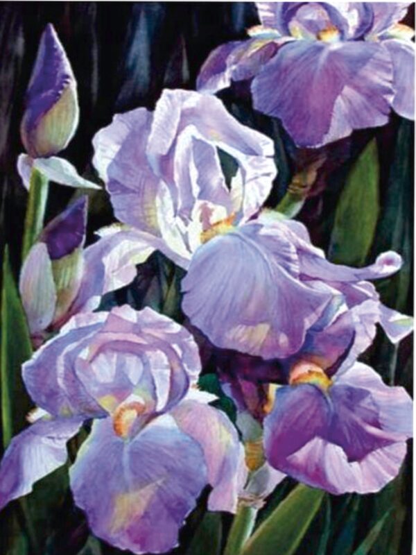 Still life №10, Canvas Panel with outline, 30х40, cotton, acrylic, ROSA START