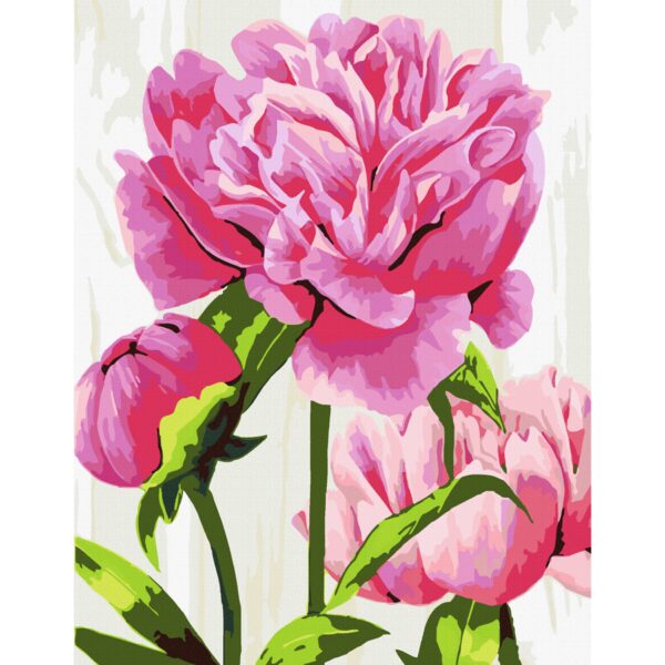 „Bright Peonies“, standard Kit, painting by numbers, 35х45cm, ROSA START