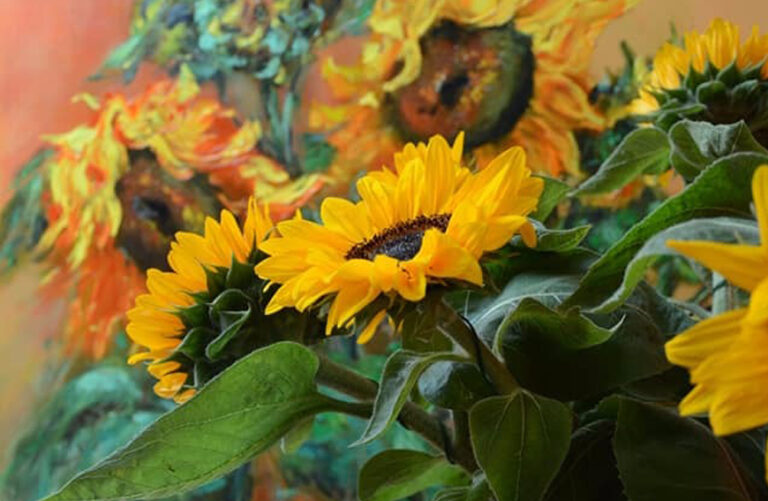 Соняшники від художниці Галини Григорук з м.Івано-Франківська.